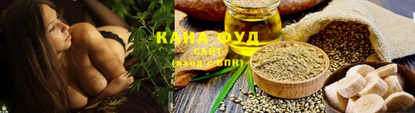 СК Вязьма