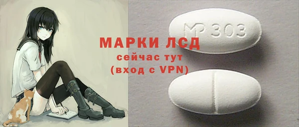 СК Вязьма