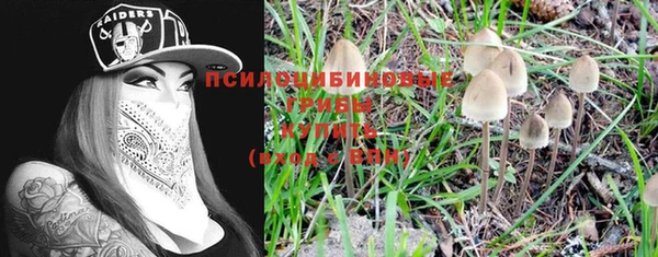 шишки Вяземский