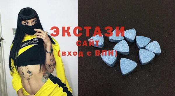 СК Вязьма
