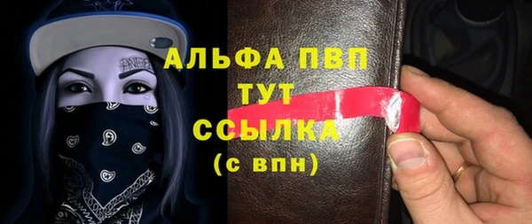 СК Вязьма